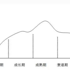 产品运营分4个时期,不同时期该怎么运营?