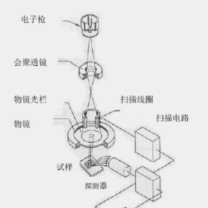 sem测试主要测什么