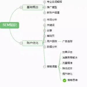 聊了太多技巧,今天来聊聊SEM思维