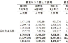 B站：赚钱有限，想象力无限