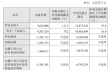 百济神州财报解读：第三季度扭亏为盈，胜利来晚了？