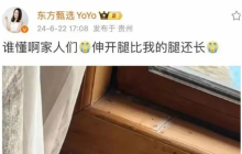 卖货36亿元后，东方甄选，脱下文化人的长衫