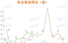 上半年全国首店增长89%，外资占大头，消费恢复了？